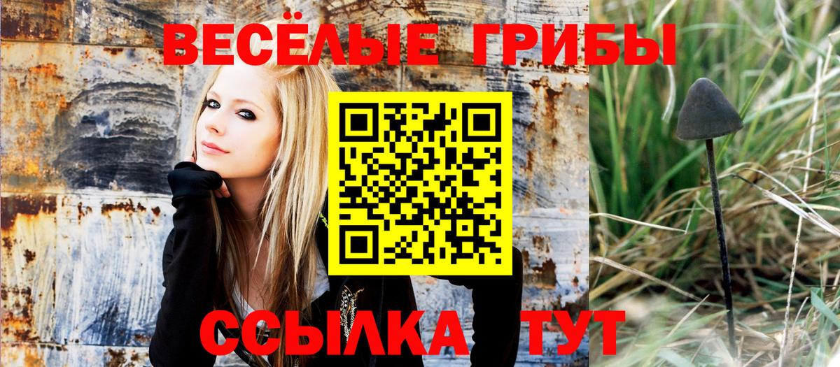 Петропавловск-Камчатский  Галлюциногенные грибы Magic Shrooms  Вход с VPN 